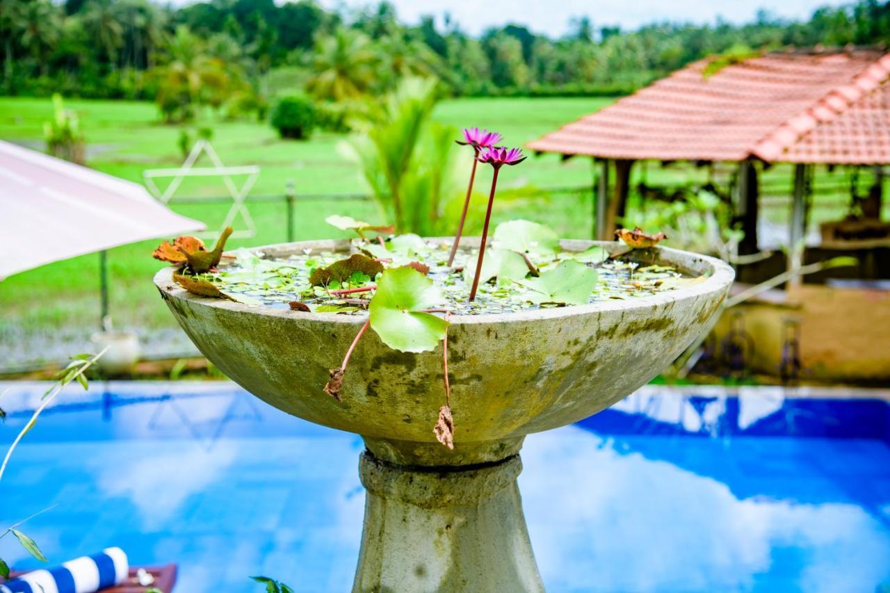 Peaceful Villa With Pool Near Hikkaduwa Ambalangoda  Esterno foto